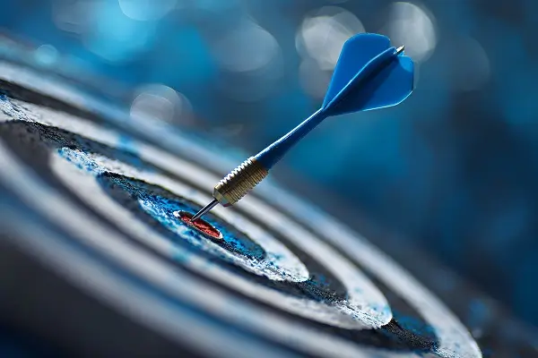 金稻公司背景介绍