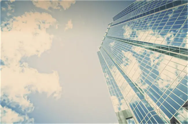 橱窗设计公司成员介绍