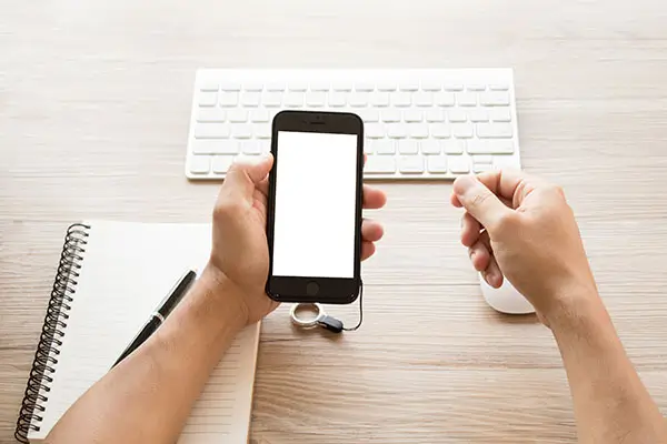 东莞东阳光公司介绍